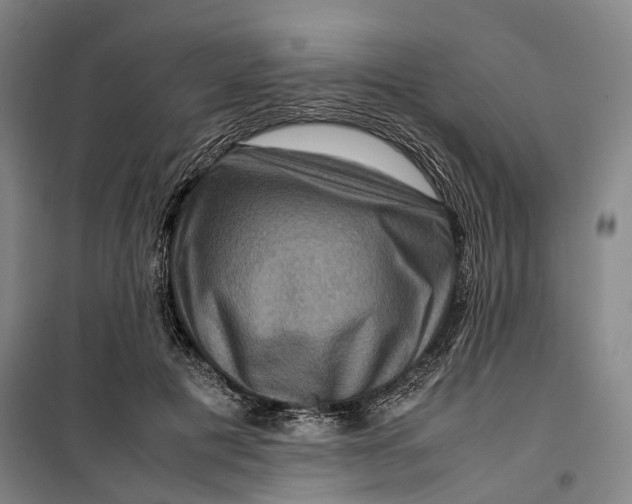 X0000099570601200806061605
