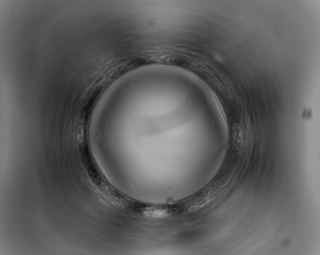 X0000099570602200806061605