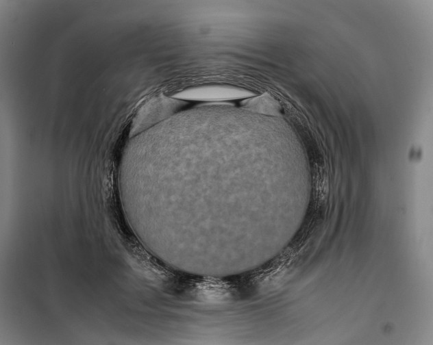 X0000099570603200806061605