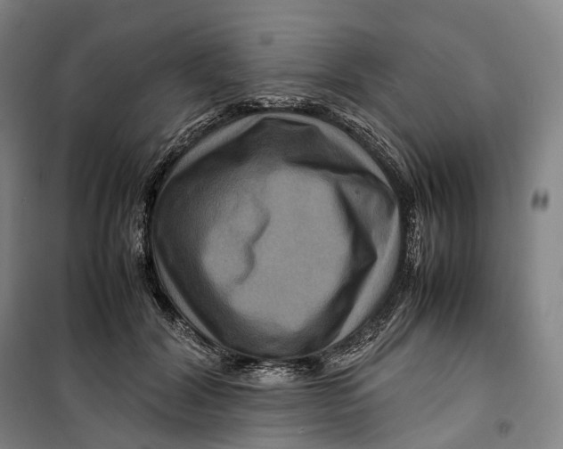 X0000099570604200806061605