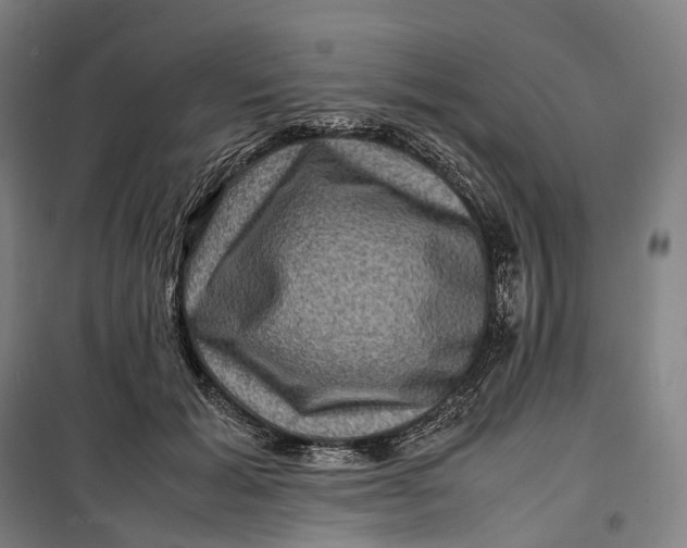 X0000099570605200806061605
