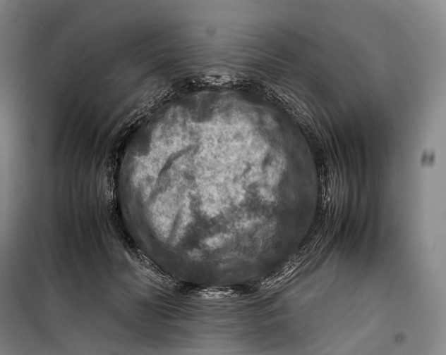 X0000099570606200806061605