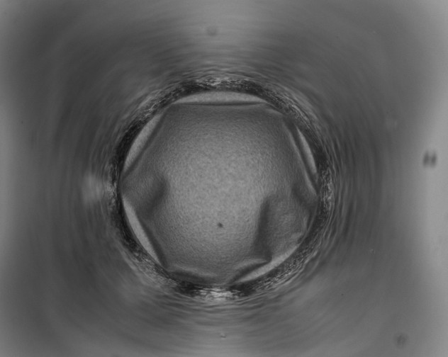 X0000099570607200806061605