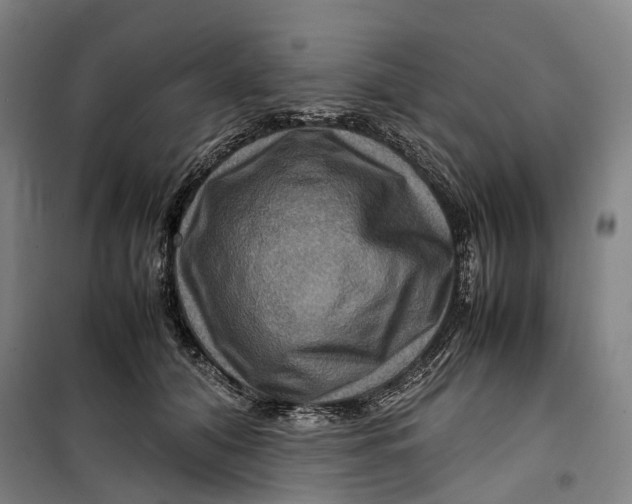 X0000099570608200806061605