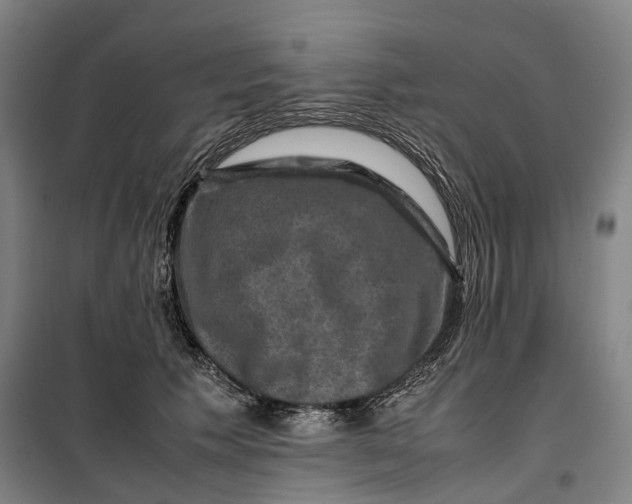 X0000099570609200806061605
