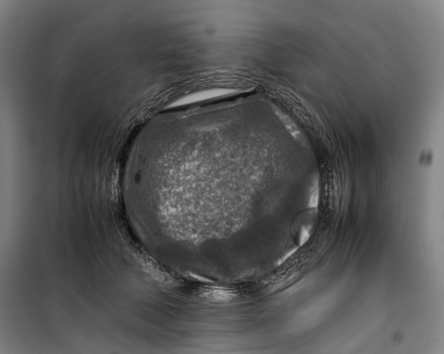 X0000099570610200806061605