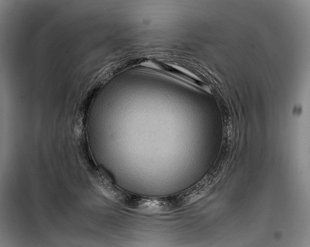 X0000099570611200806061605