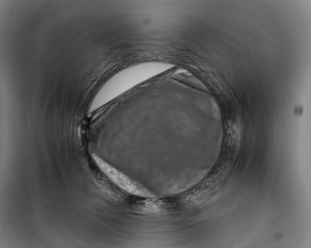 X0000099570612200806061605