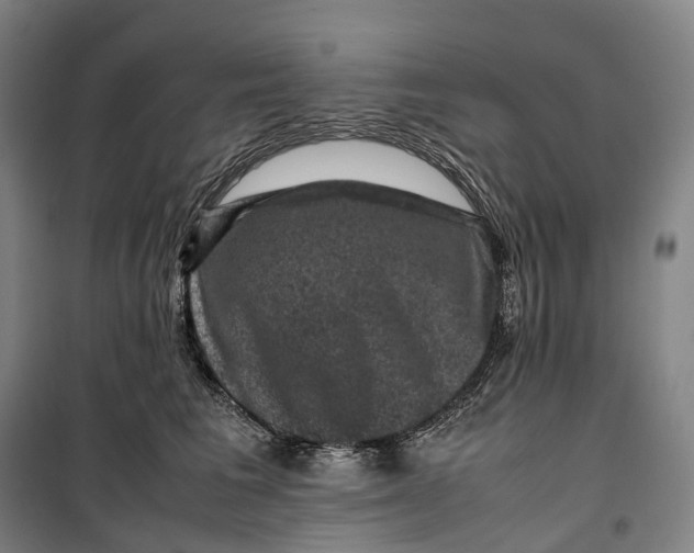 X0000099570613200806061604