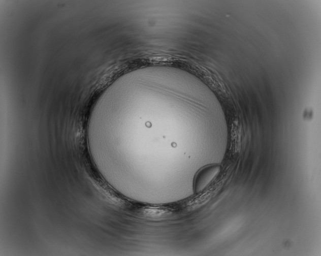 X0000099570614200806061604
