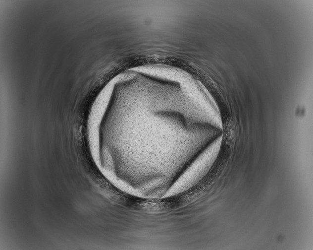 X0000099570615200806061604