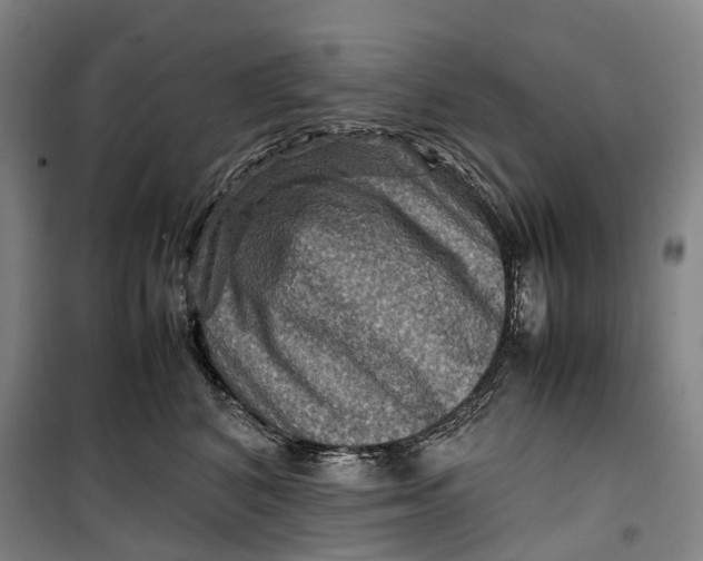 X0000099570616200806061604