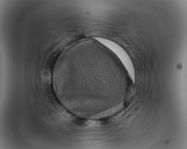 X0000099570617200806061604