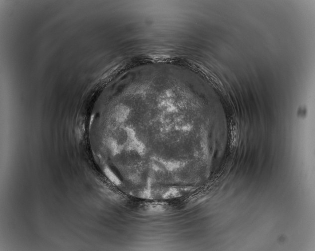 X0000099570618200806061604