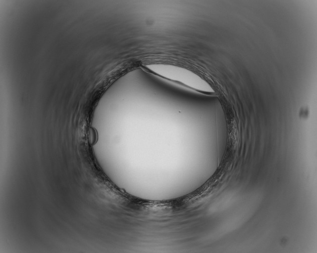 X0000099570619200806061604
