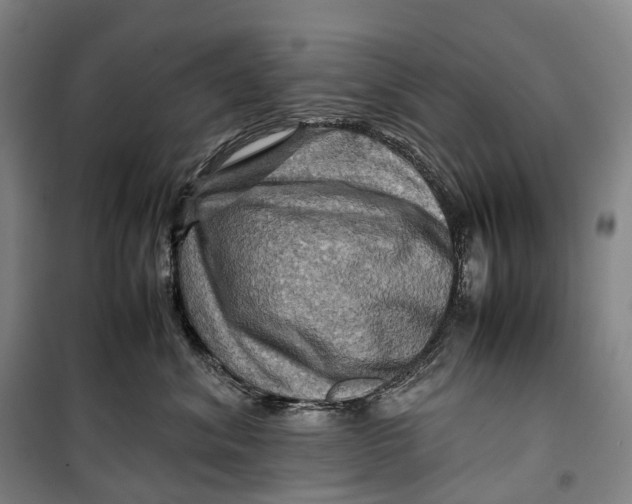 X0000099570620200806061604