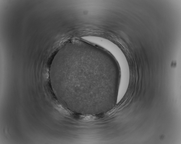 X0000099570621200806061604