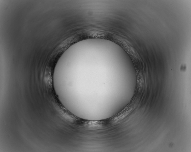 X0000099570622200806061604