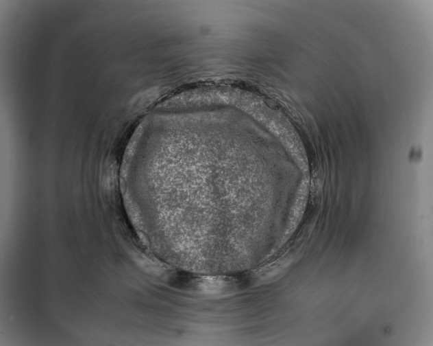 X0000099570623200806061604