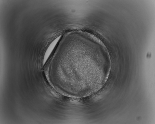 X0000099570624200806061604