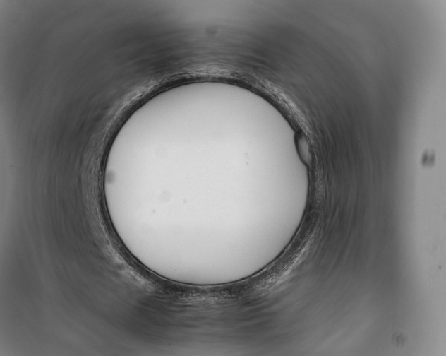 X0000099570625200806061603