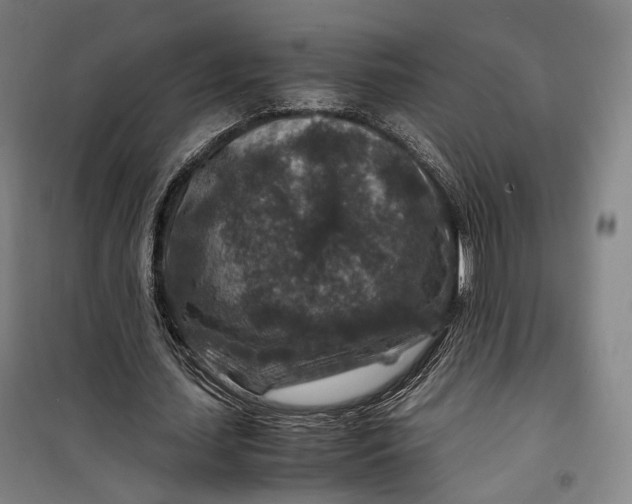 X0000099570627200806061604
