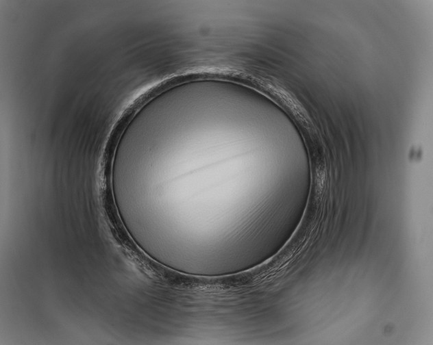 X0000099570628200806061604