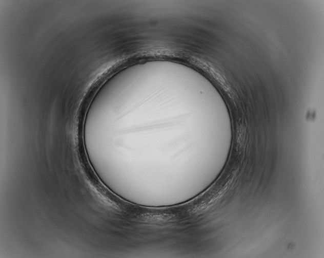 X0000099570629200806061604
