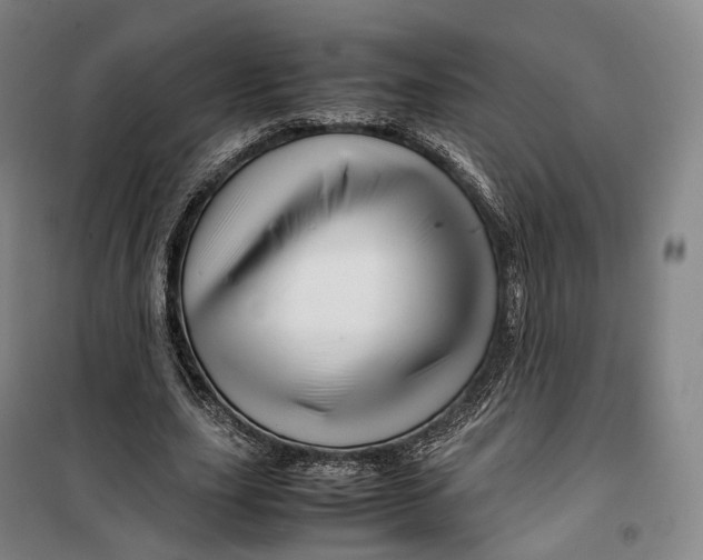 X0000099570631200806061604