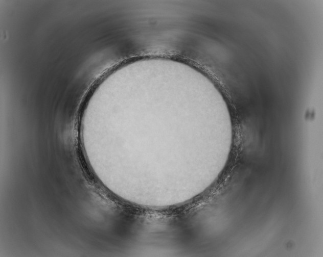 X0000099570632200806061604