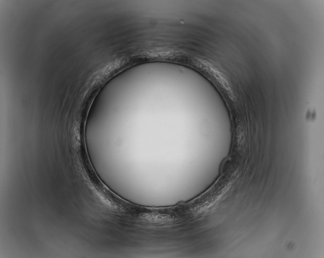 X0000099570633200806061604