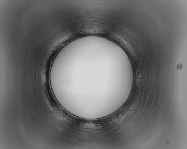 X0000099570635200806061604