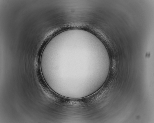 X0000099570636200806061604