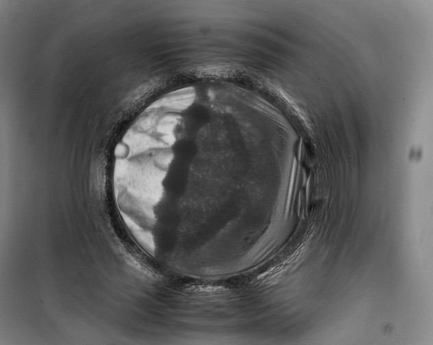 X0000099570637200806061604