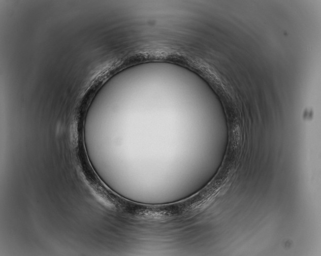 X0000099570638200806061604