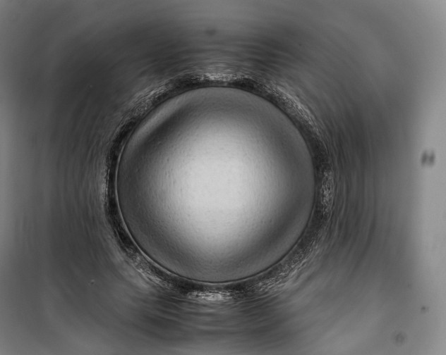X0000099570639200806061604