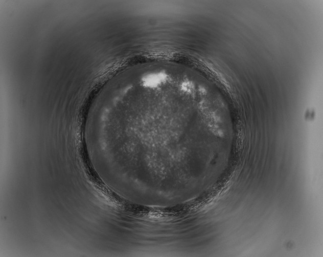 X0000099570641200806061604