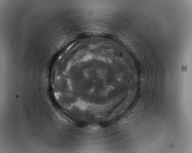 X0000099570642200806061604
