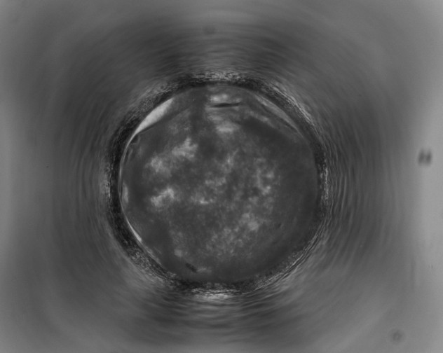 X0000099570643200806061604
