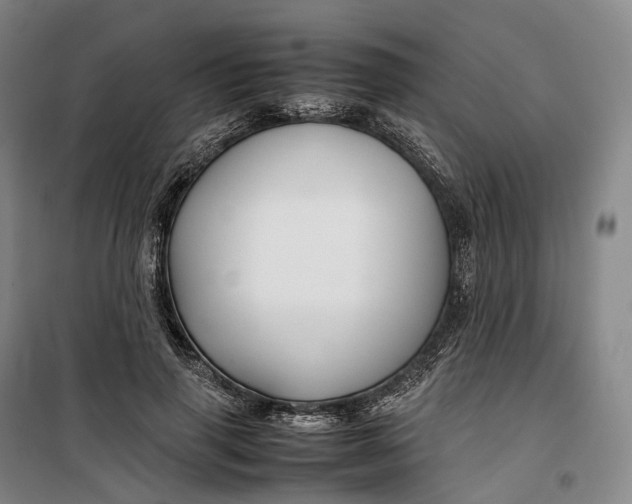 X0000099570645200806061604