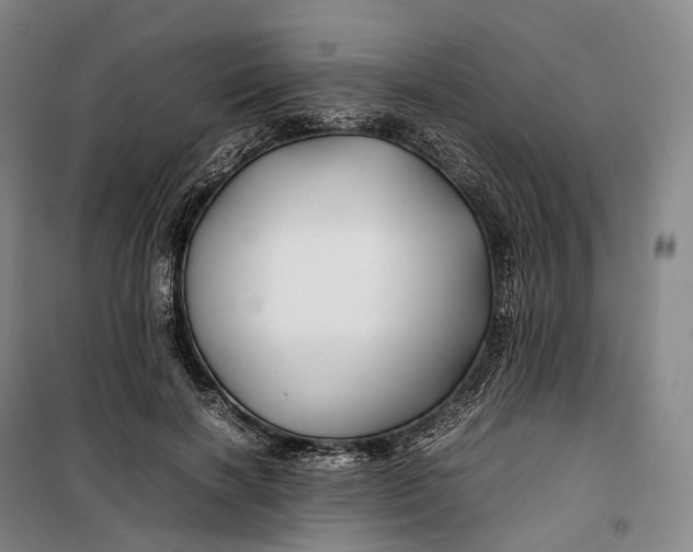 X0000099570646200806061604