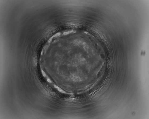 X0000099570647200806061604