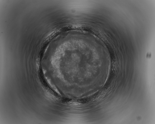 X0000099570648200806061604