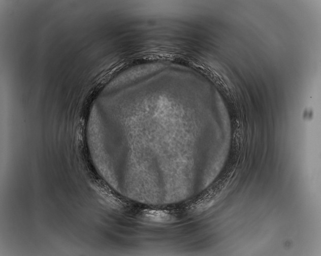 X0000099570649200806061604