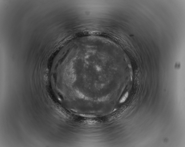 X0000099570650200806061604