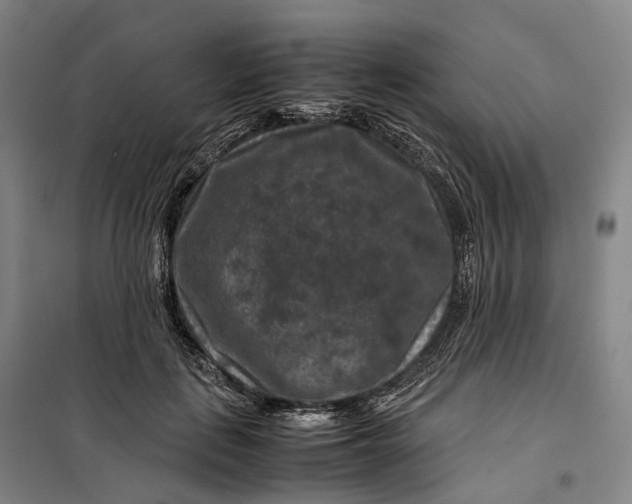 X0000099570651200806061604