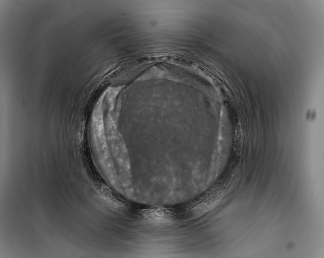 X0000099570652200806061604