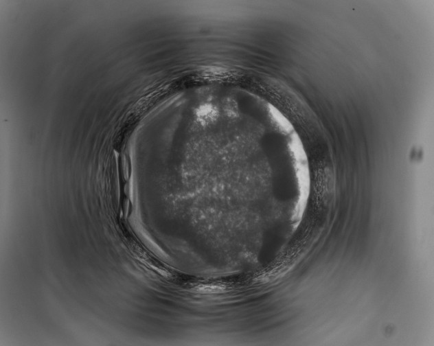 X0000099570653200806061604