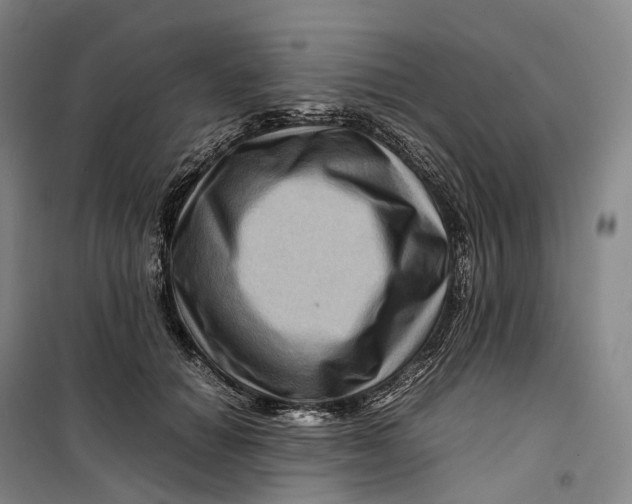 X0000099570654200806061604
