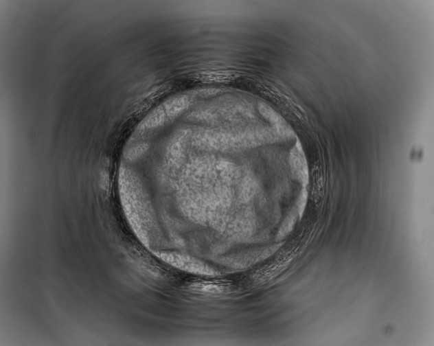 X0000099570655200806061604